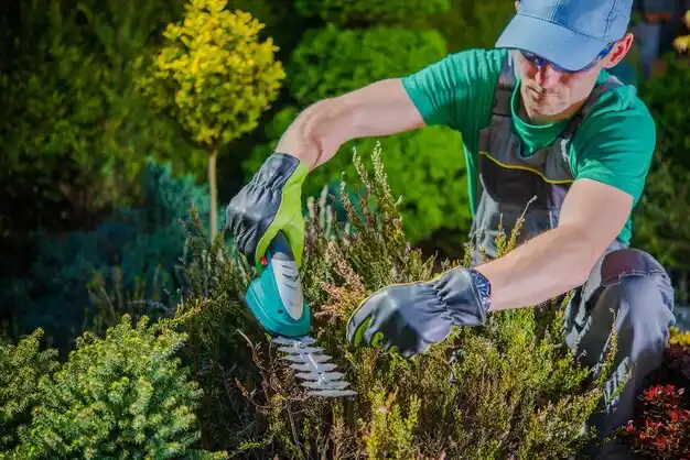 landscaping services Kingsford